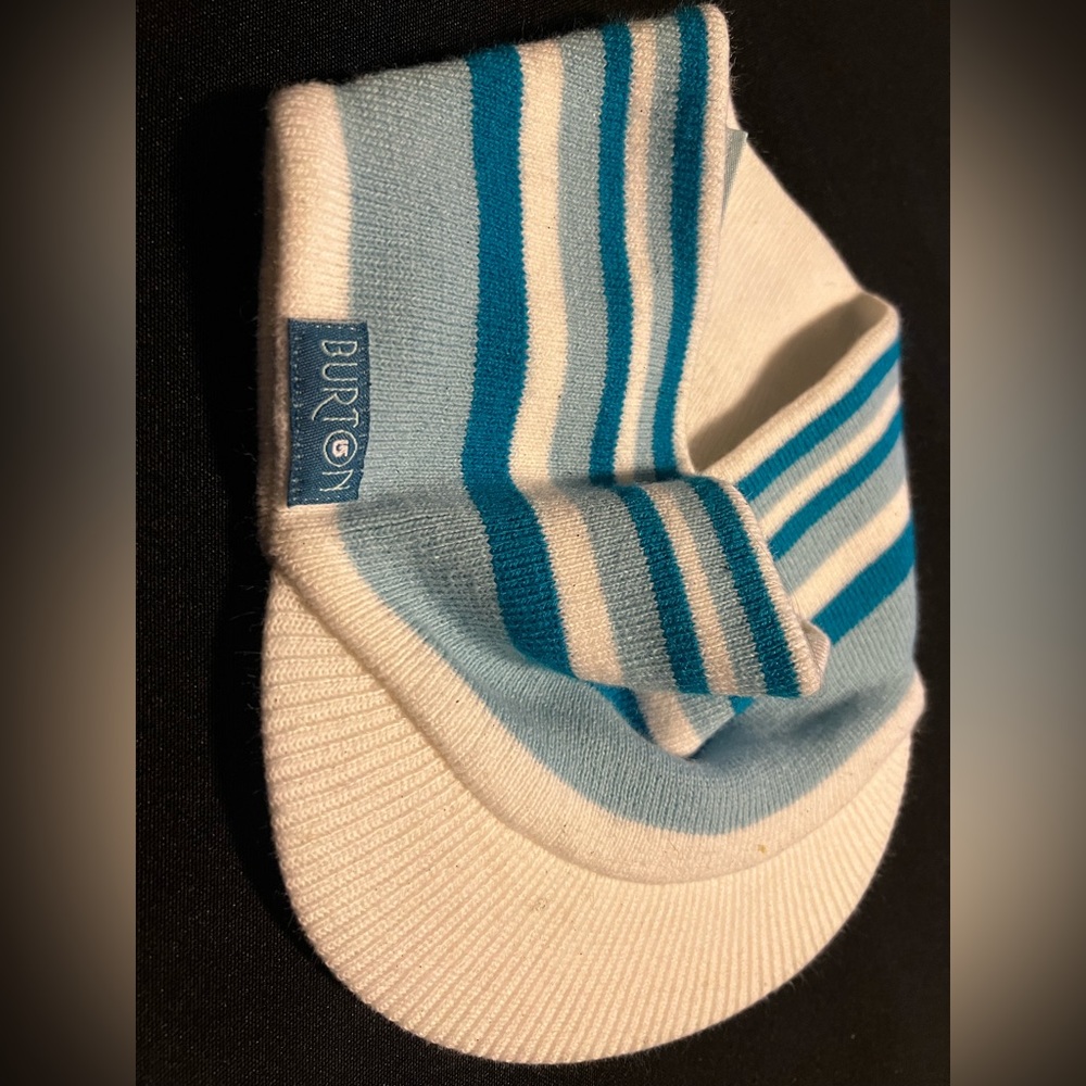 Burton Visor